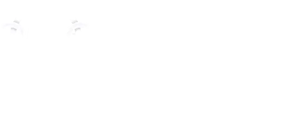 Gina logo