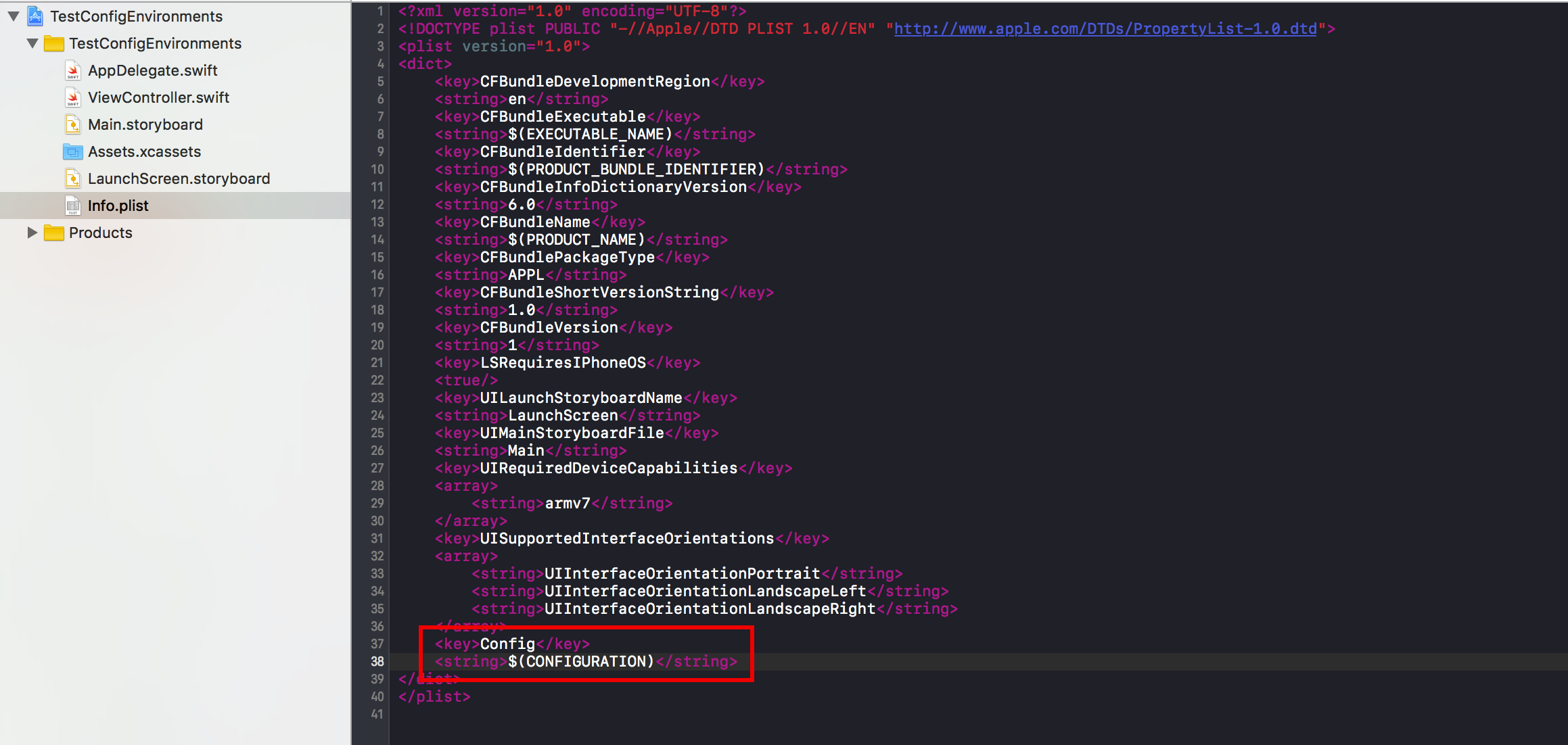 Info.plist
