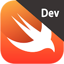 Development Icon